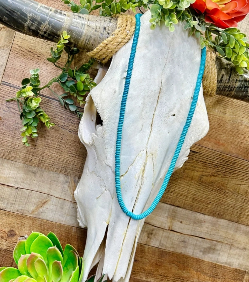 Fort Worth Long Necklace