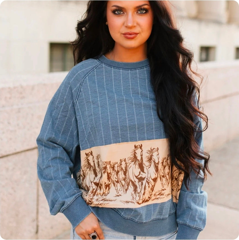 Horse Striped Denim Top